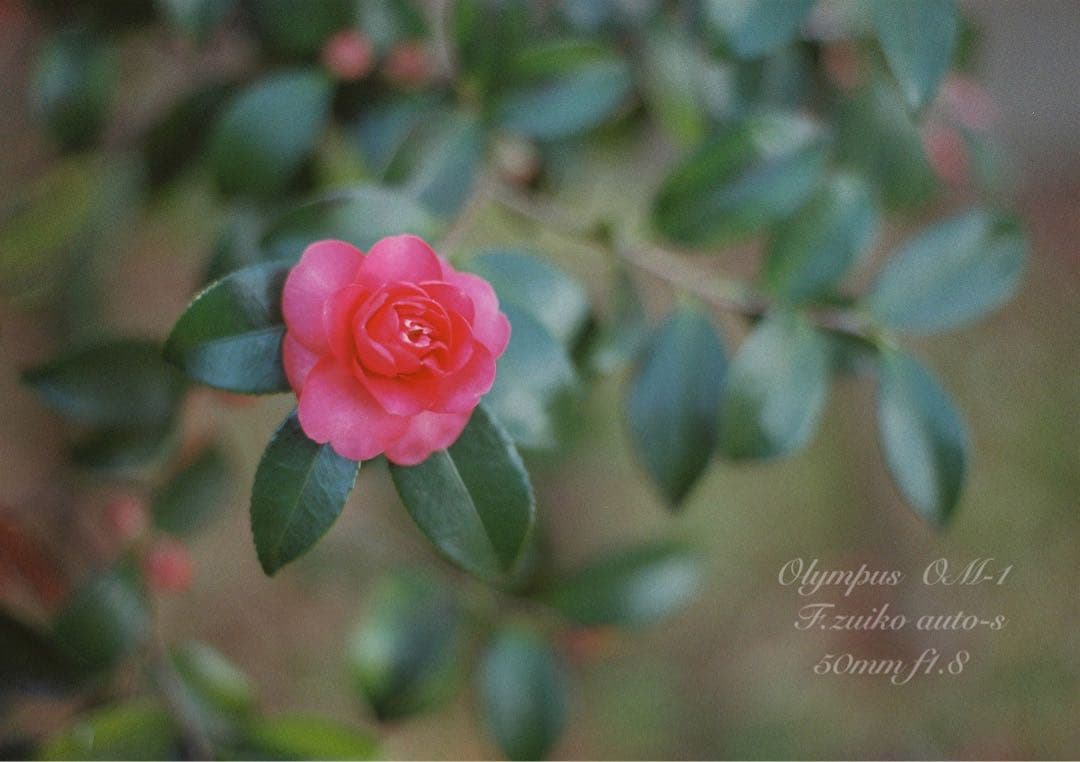 ★★★Andrewさま専用★★★