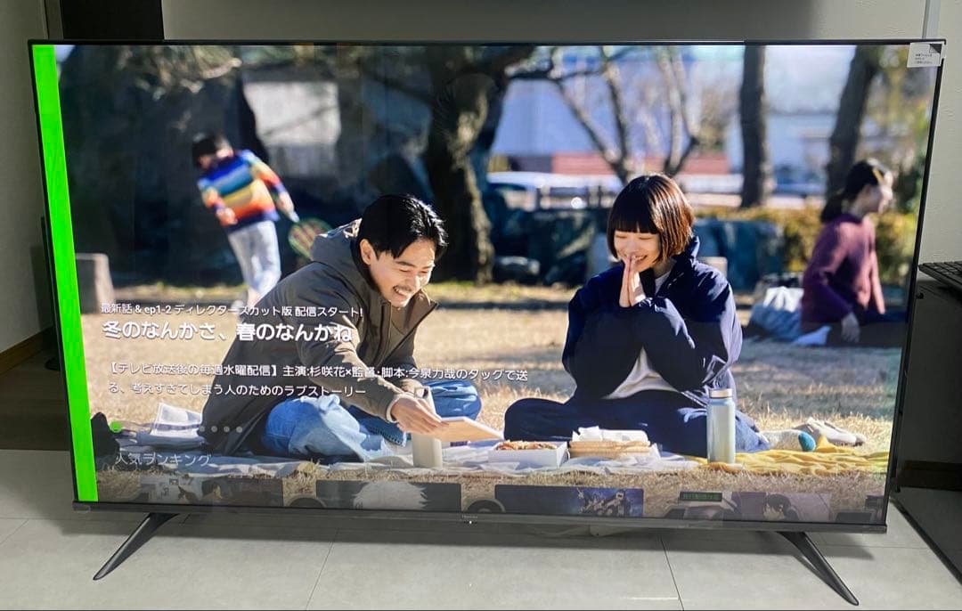 ハイセンス 65V型4K 液晶テレビ 65A65G 2022年製 動画アプリ搭載