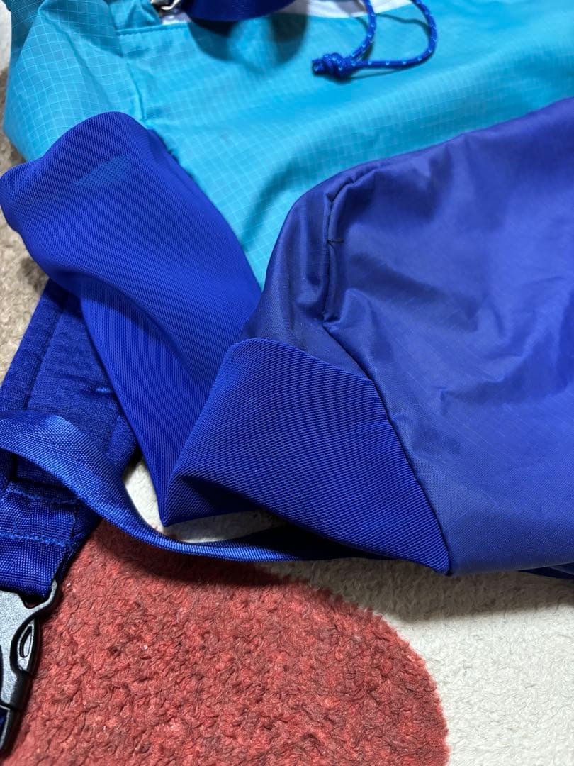 ✨美品　patagonia ウルトラライトブラックHole Tote Pack