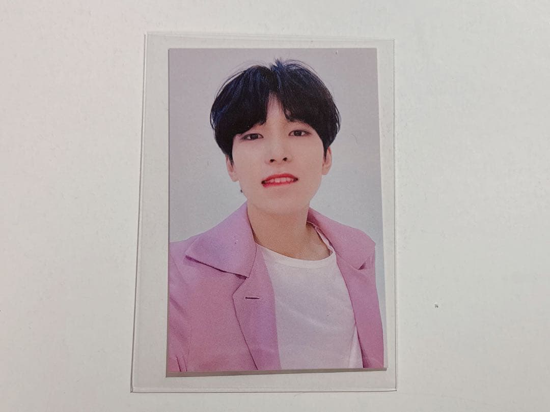 SEVENTEEN carat zone land ウォヌ トレカ