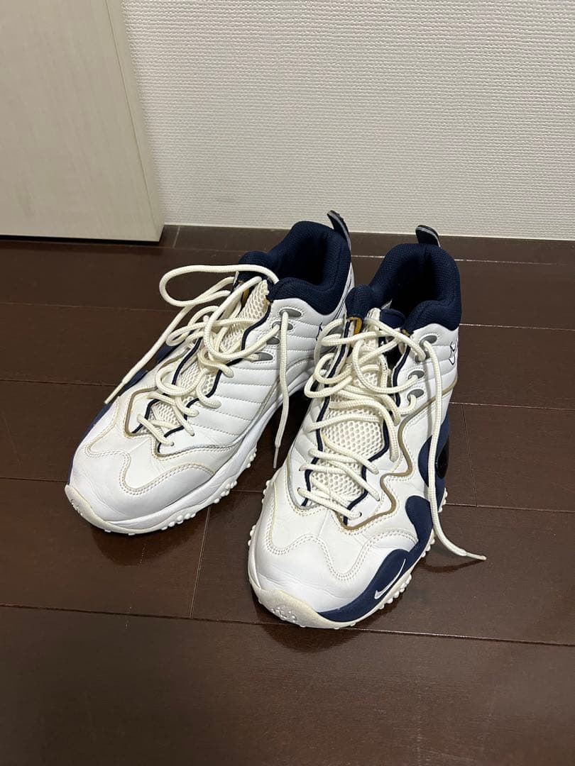 NIKE エアズームフライト5 26㎝