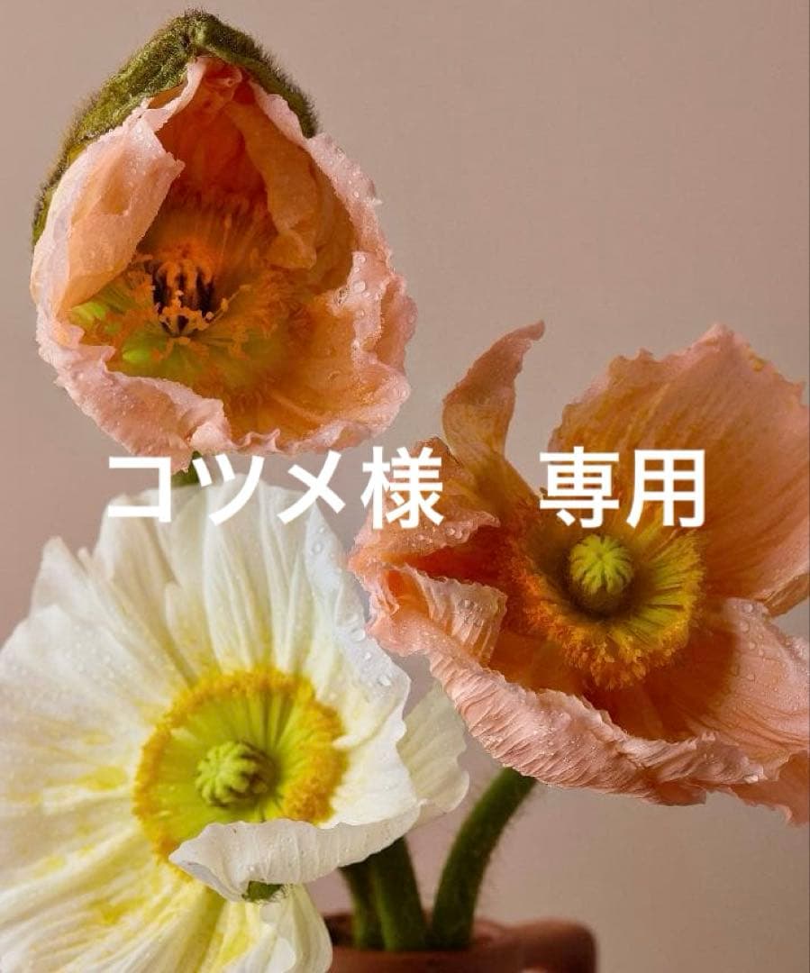 コツメ　ミックス　サイズ2