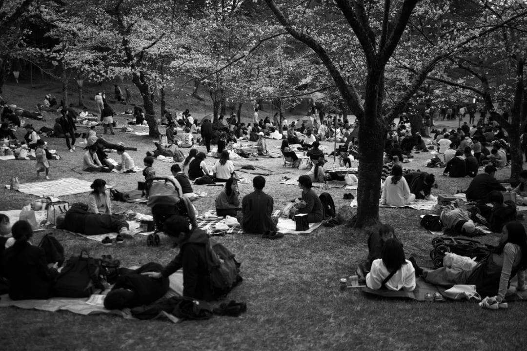 美品　LUMIX S 35mm F1.8 Lマウント