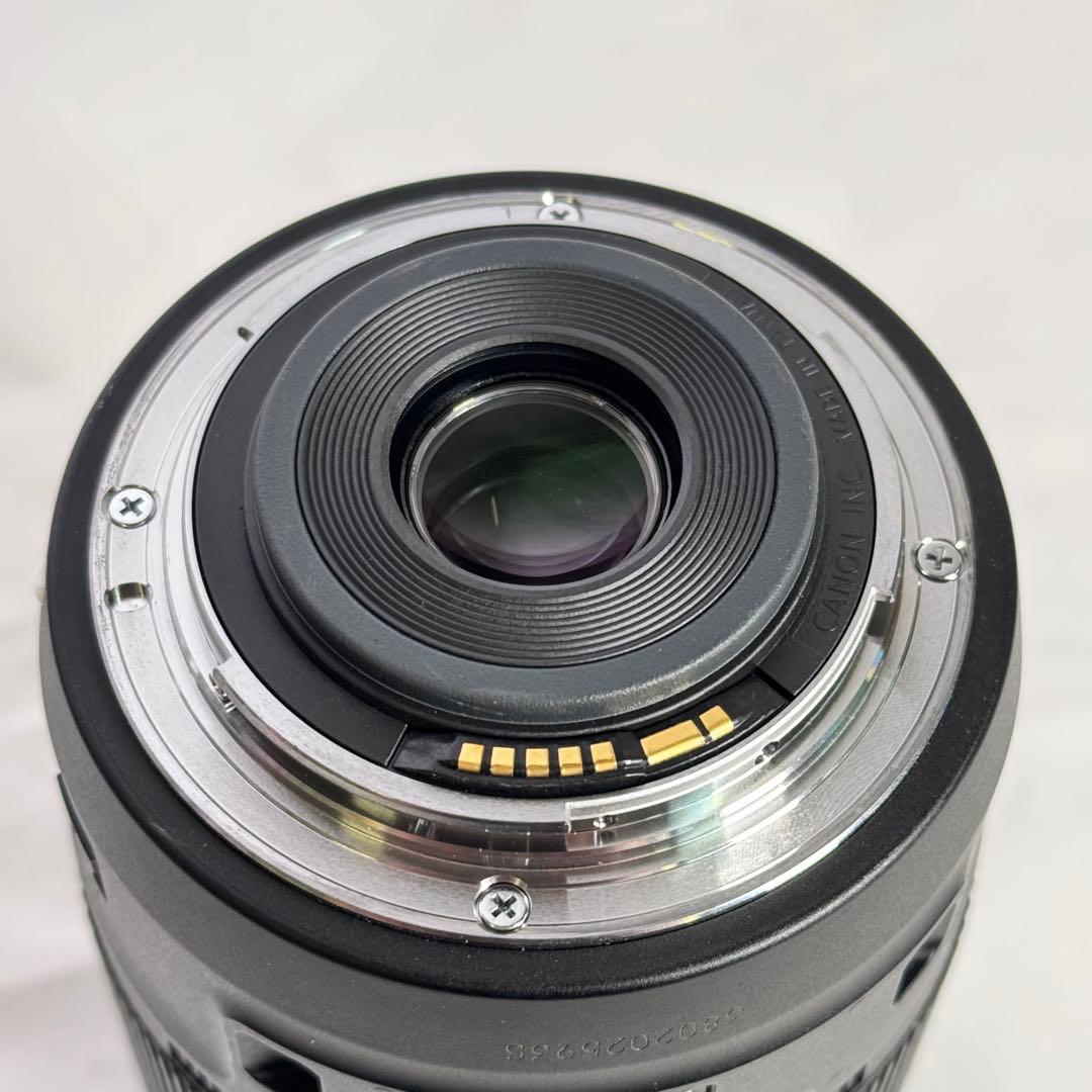 Canon デジタルカメラ EOS 80D ズームレンズ付き 付属品多数！ 美品