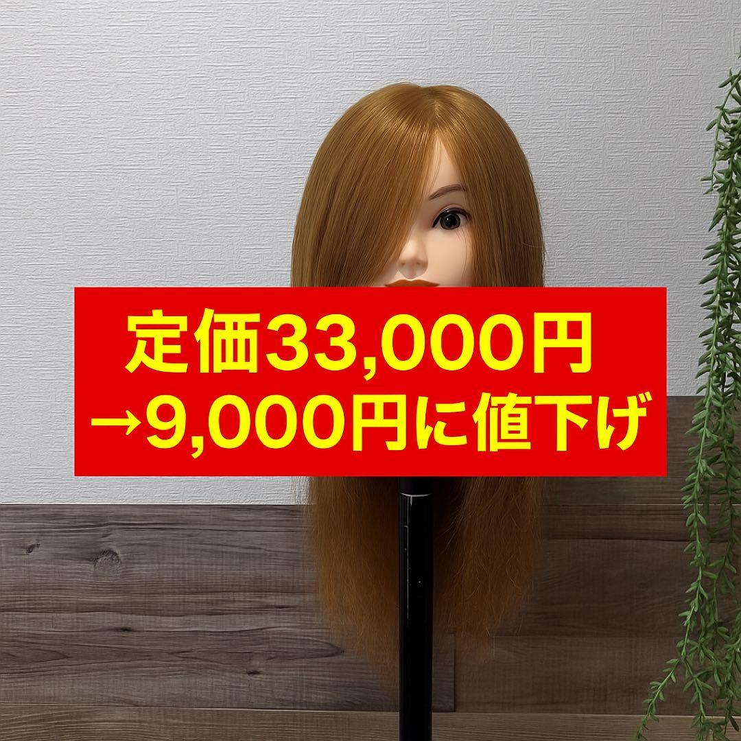 アイビル アップウィッグ ＃295 ブラウン 人毛100％