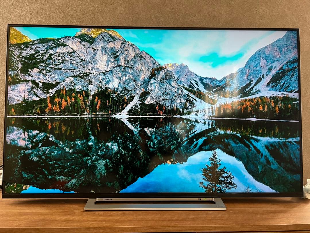 りゅさん専用一部画面不良　TOSHIBA REGZA 55M520X 4Kテレビ