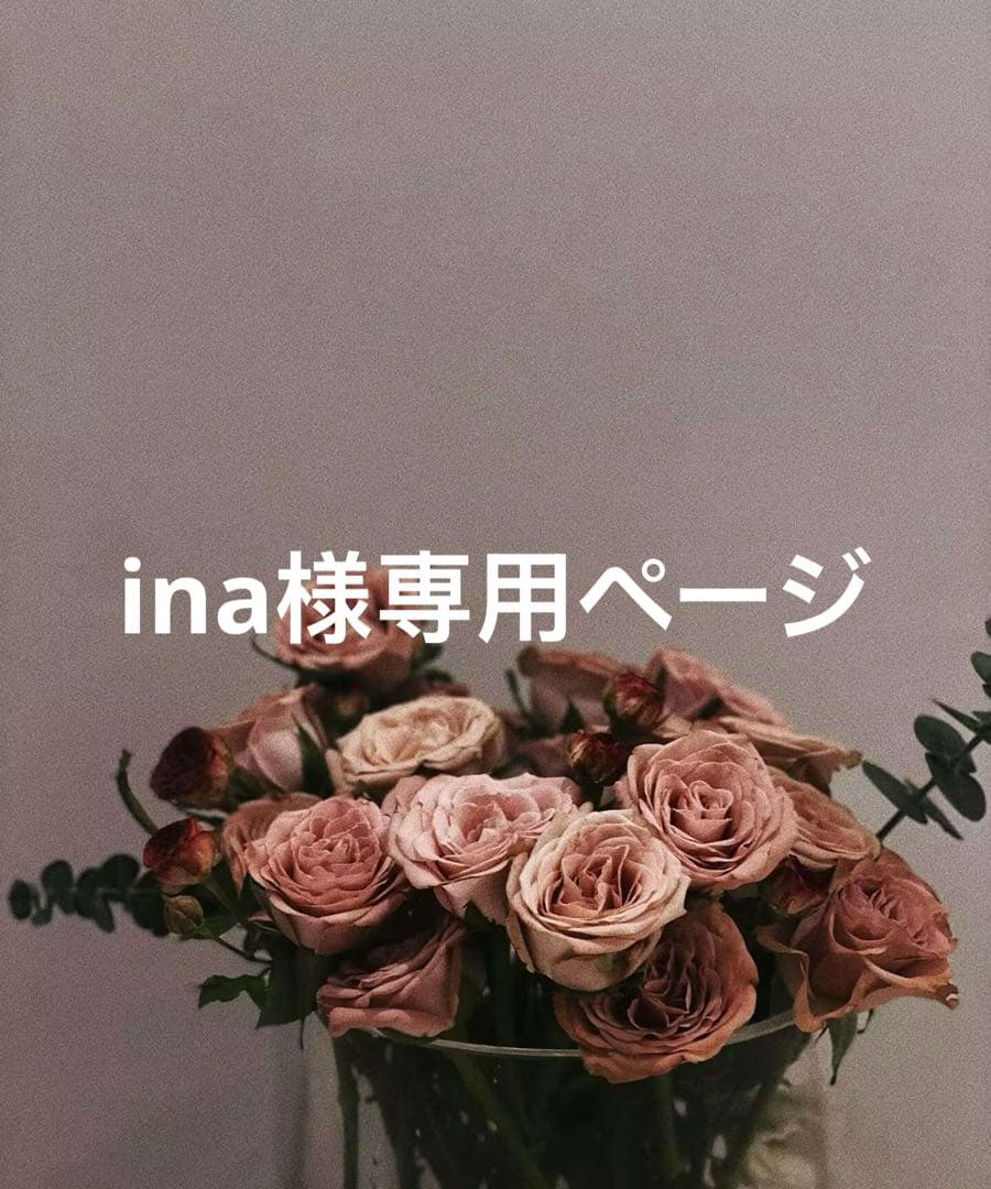 inaページ
