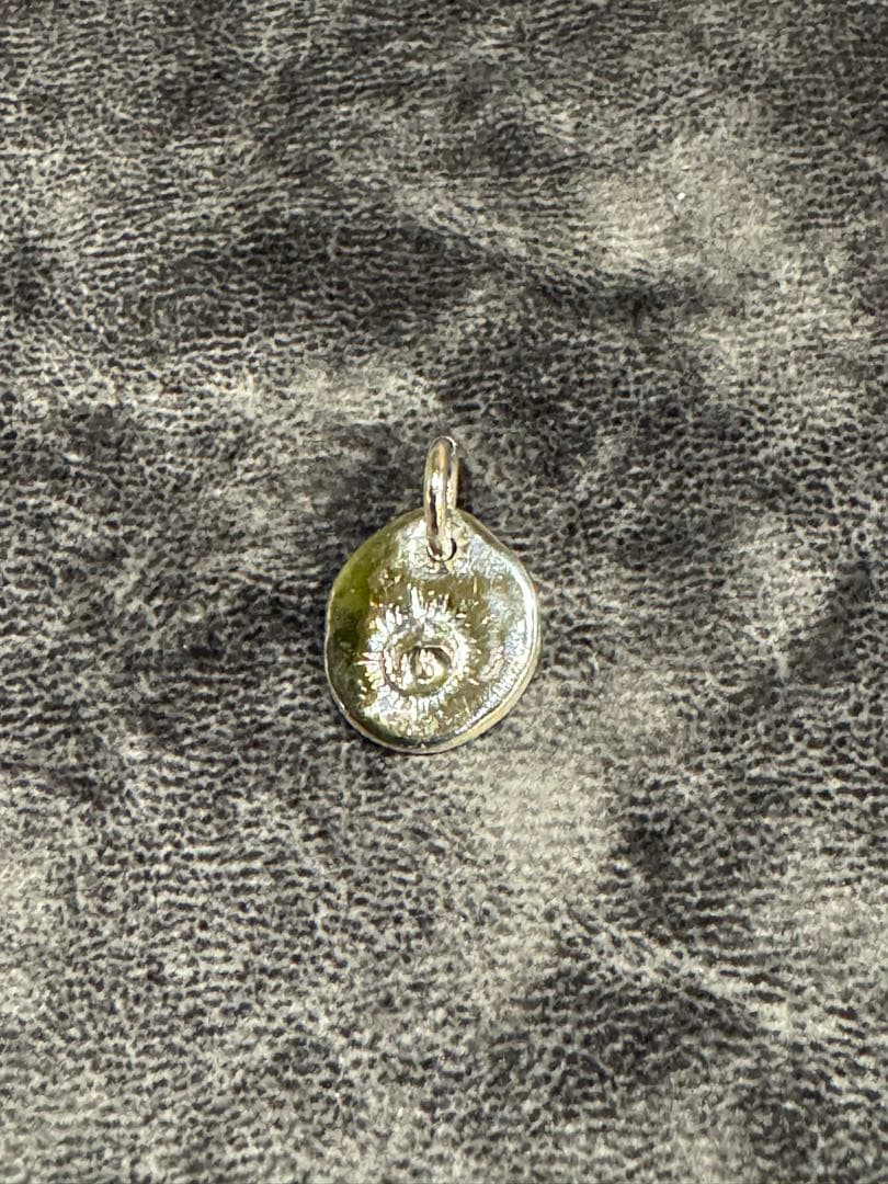 nabe753　ゴローズ/イーグルイン太陽/太陽インメタル/大/L