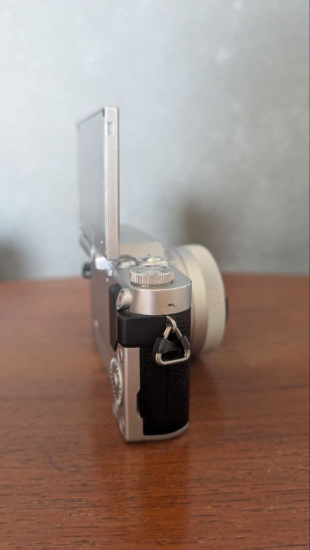 LUMIX G ミラーレス一眼カメラ レンズ2本付き　DC-GF9W