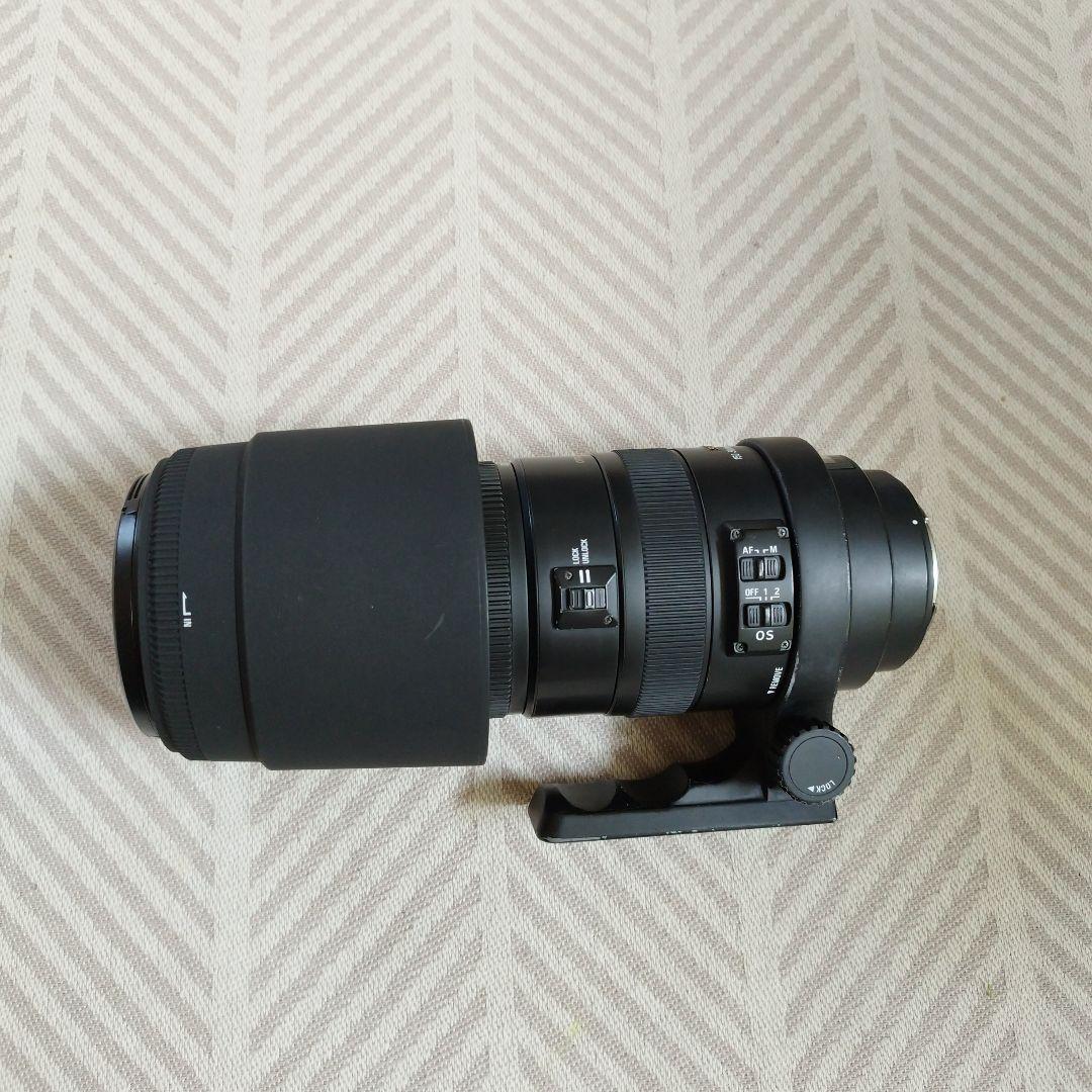 SIGMA DG 150-500mm 1.5-6.3 APO HSM レンズ