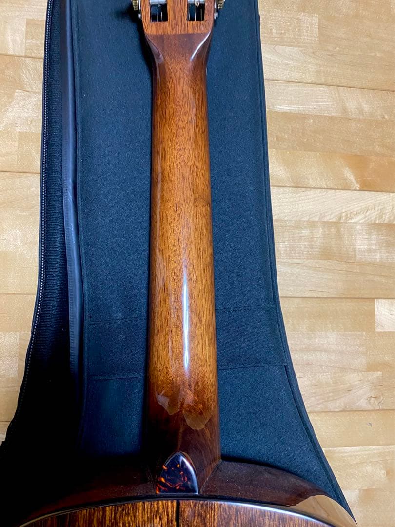 壱*徹様 値下げ❢珍‼️ ラップスチールギター　改造品　フレットレス動画あり