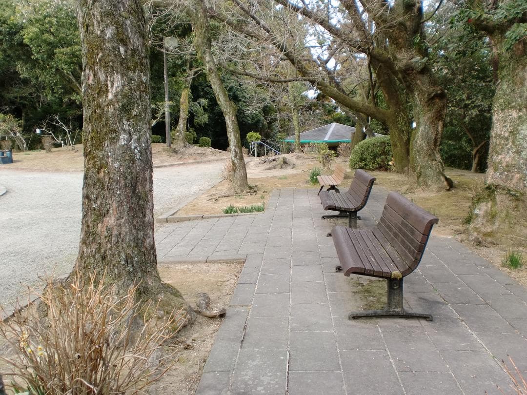 作例有　動作OK　SDカード付　純正セット カシオ EXILIM EX-Z90