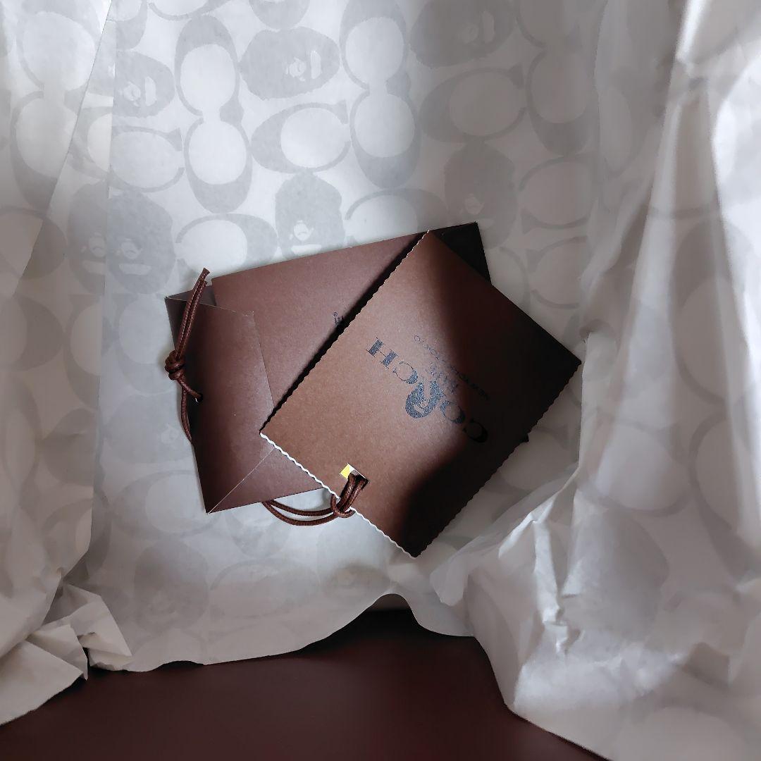 アベイシングエイプ✕COACHコラボシグネチャー柄ブラウンスニーカー