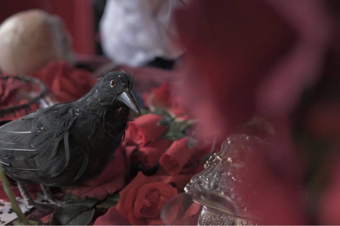 Nikon Z fc ミラーレス一眼 本体とオプションパーツ