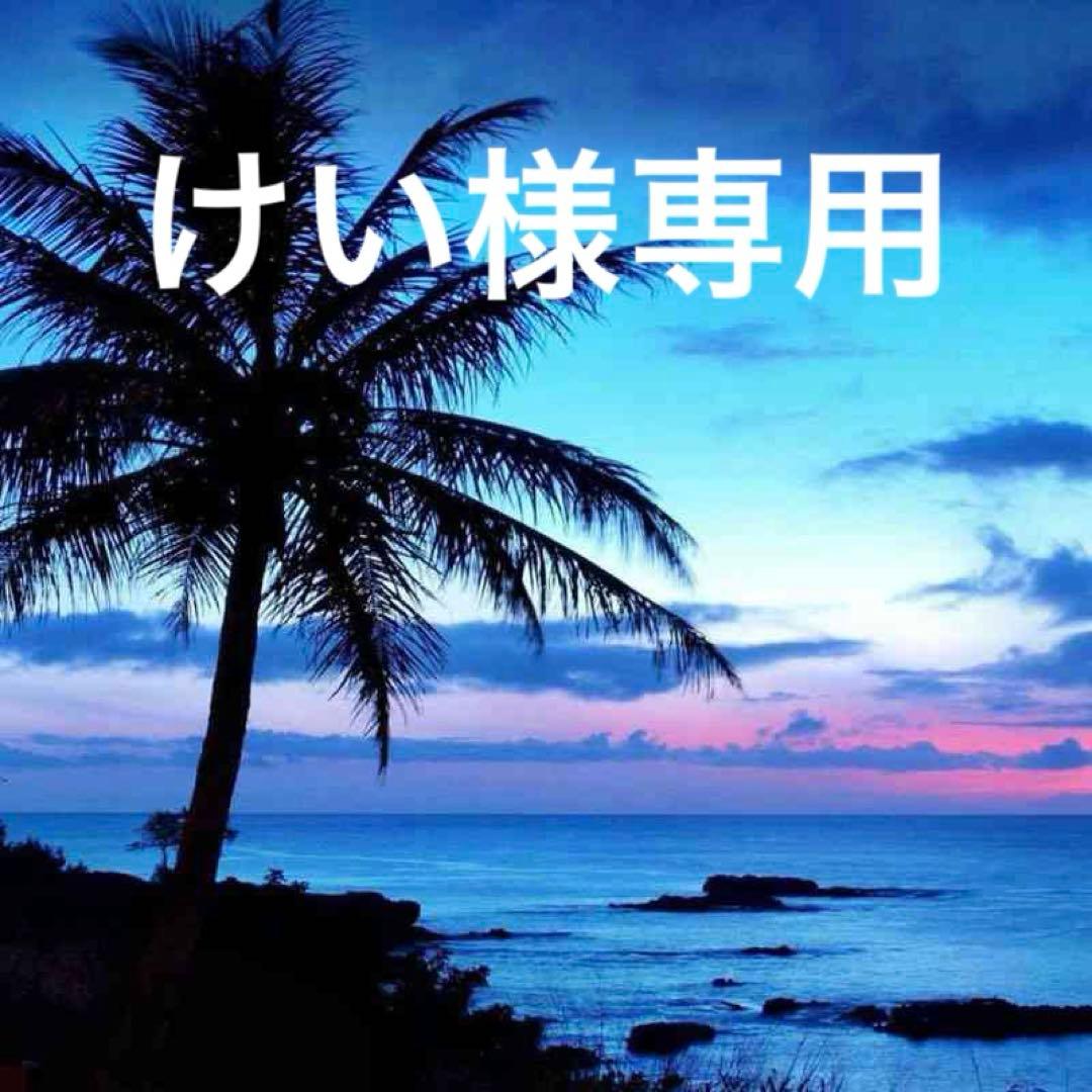 ラメ グリッター 単色シルバー 0.4mm/0.8mm 各1.5kg フレーク