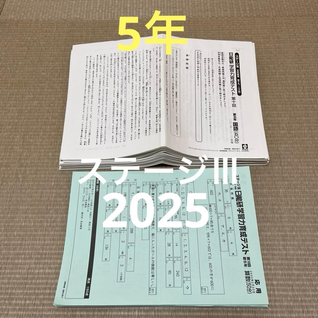 2025年 日能研 5年 ステージⅢ 育成テスト