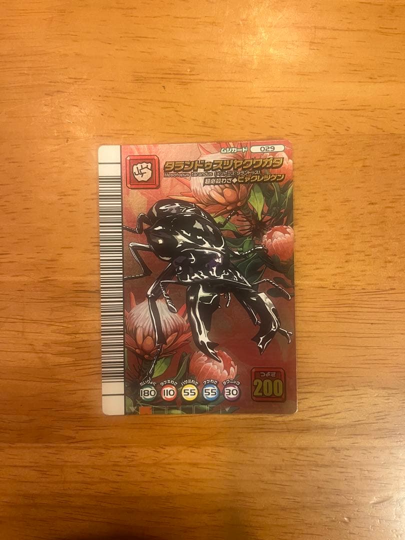 甲虫王者ムシキングの5周年コレクションカード タランドゥスツヤクワガタ