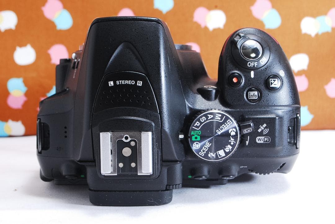 ✨美品✨Wi-Fi搭載機種✨Nikon D5300 ダブルレンズセット