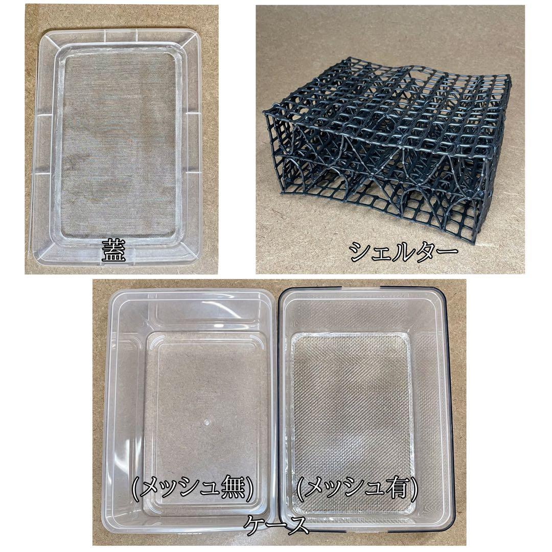 たまねぎにんじん様　S(フル)