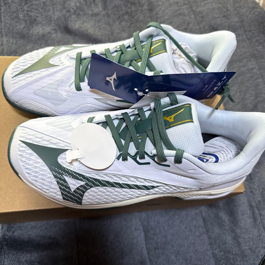 Mizuno テニスシューズ ウエーブエクシード6 SW 25.0cm 4E