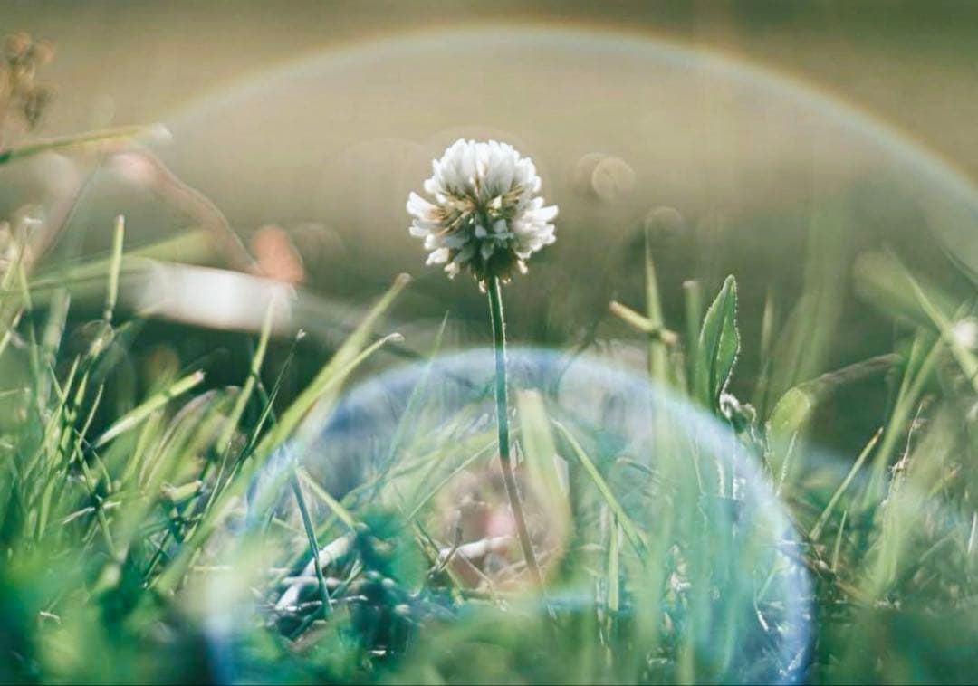 Super Takumar 55mm f1.8【M42】【青色フレア強】【希少】