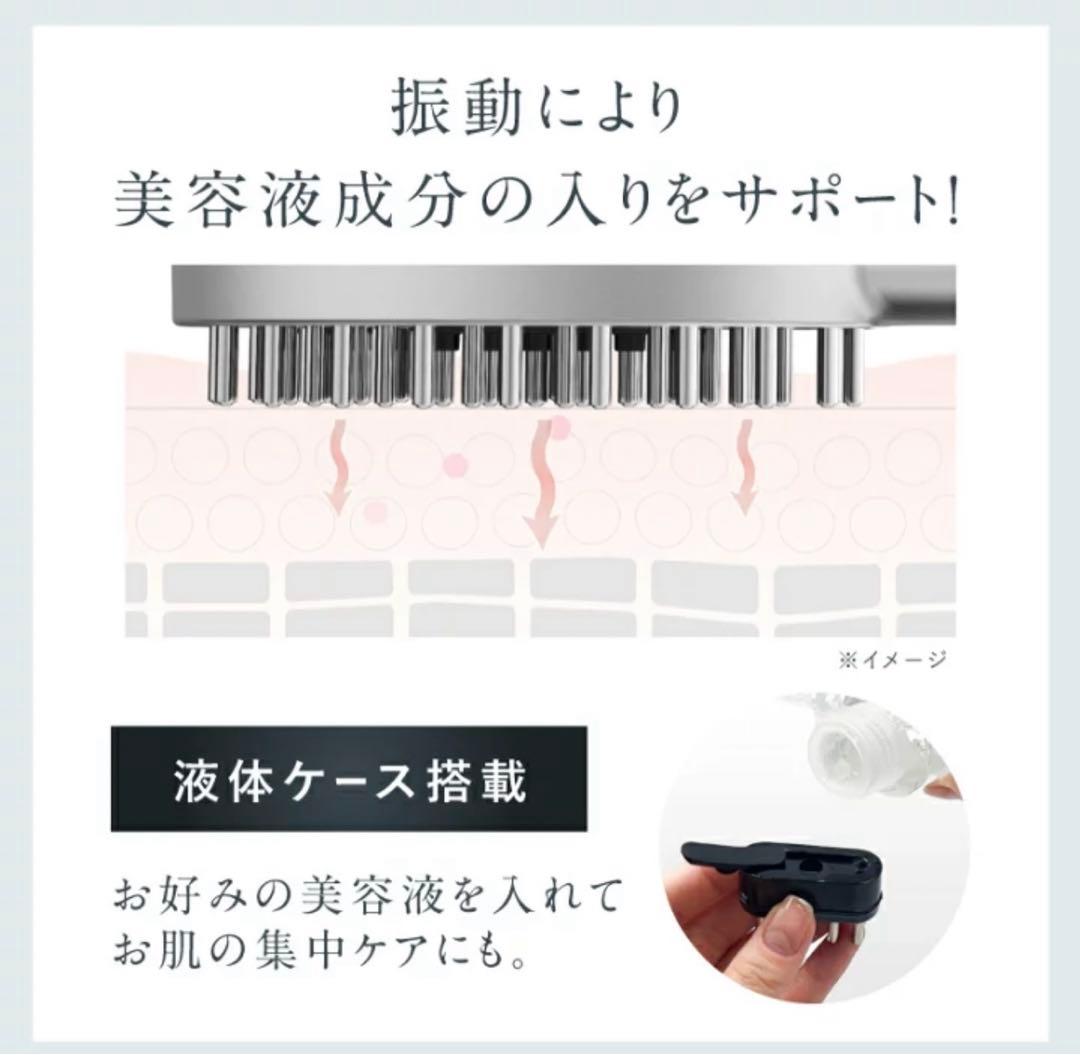 EMS電気ブラシ美顔器 【NIPLUX EMS LIFT BRUSH】超美品
