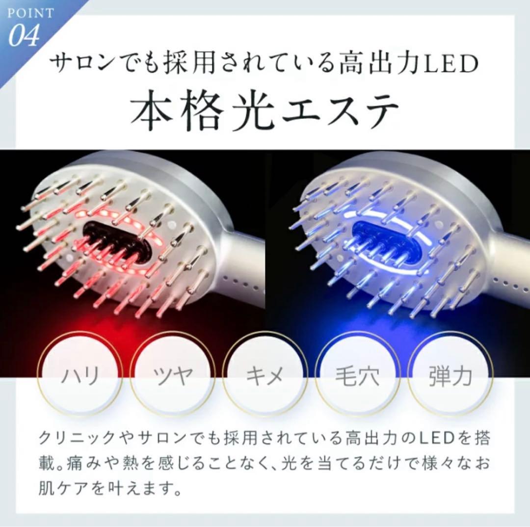 EMS電気ブラシ美顔器 【NIPLUX EMS LIFT BRUSH】超美品