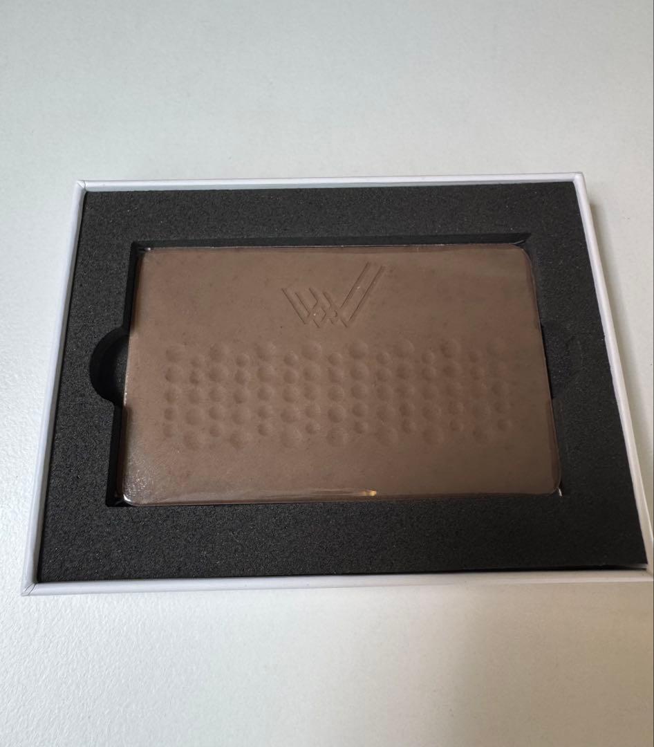 〈新品未使用品〉ワールドレップサービス　アースカード　EARTH CARD