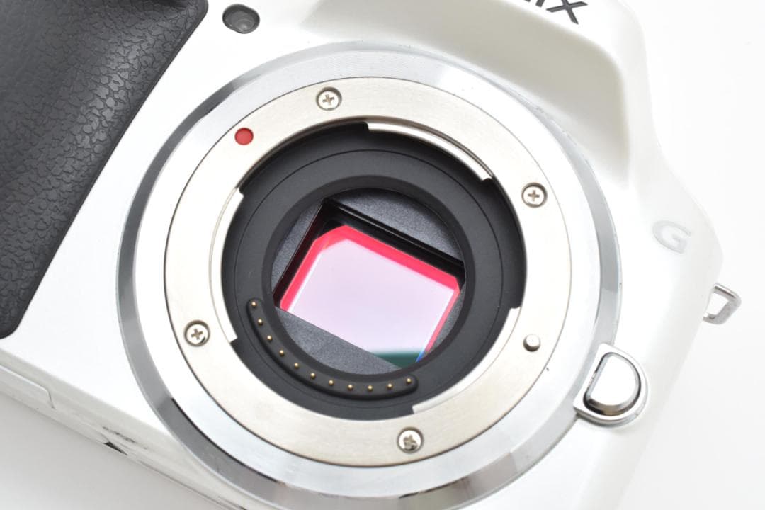 ★難あり品★パナソニック ルミックス DMC-G5 ボディ #21320