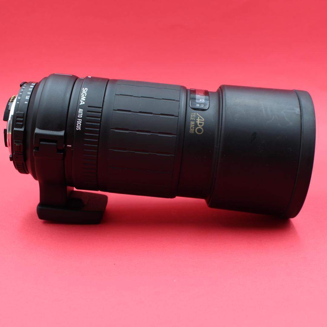 ❤️ポートレートOK❤️SIGMA 300mm F4❤️圧縮効果❤️ニコン用❤️