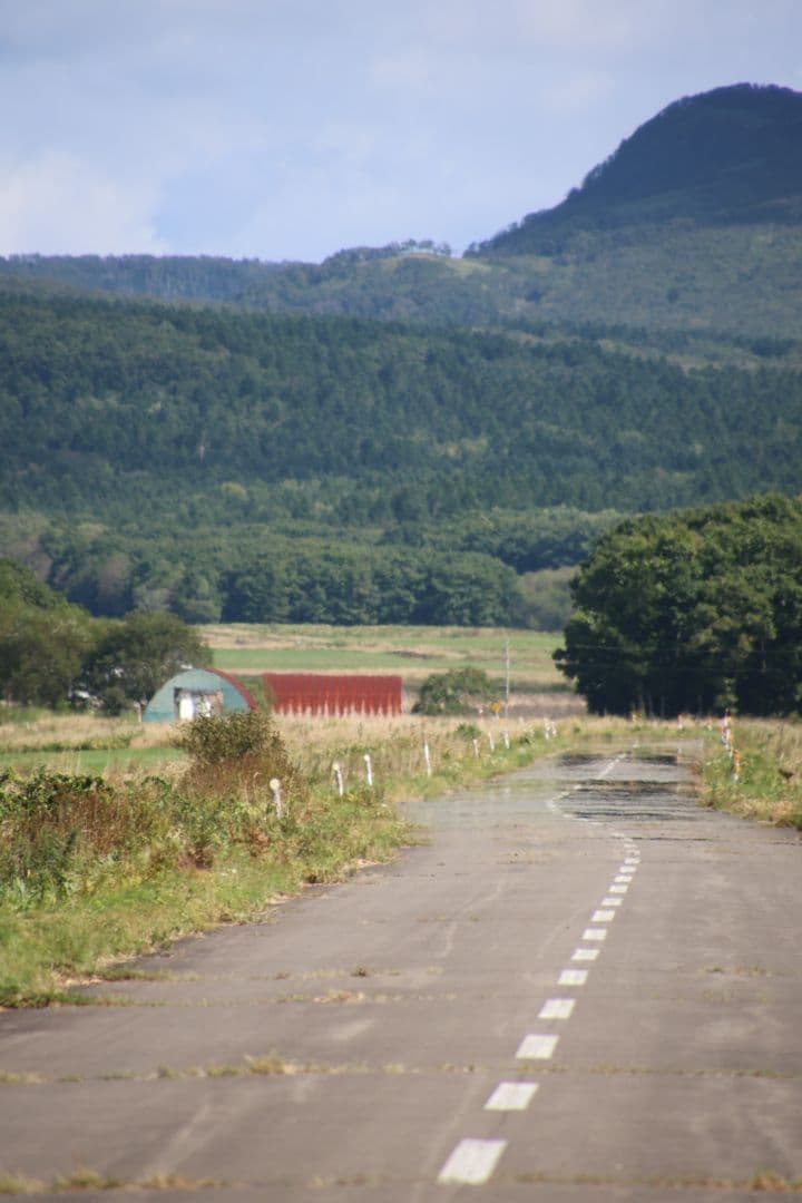 最終値下げ》Tamron 16-300 PZD DiII キヤノンEF