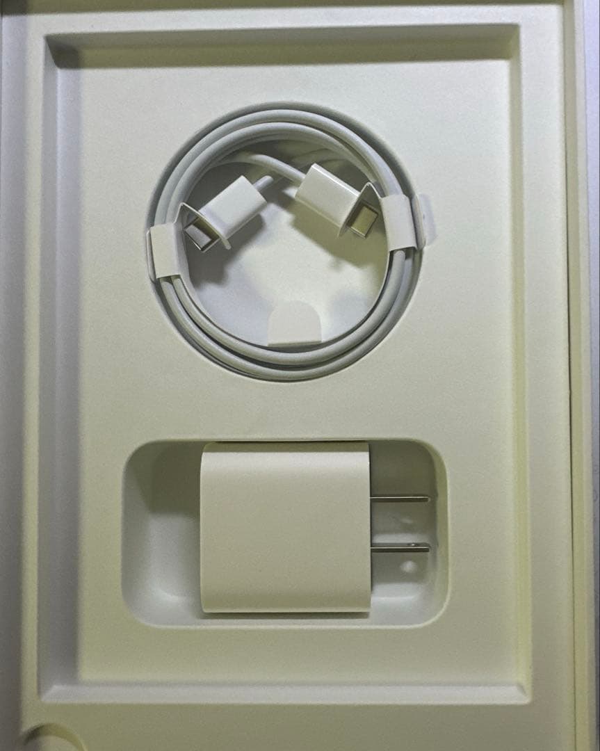 iPad本体 iPad mini 6 (256GB wifi) Apple Pencil 2