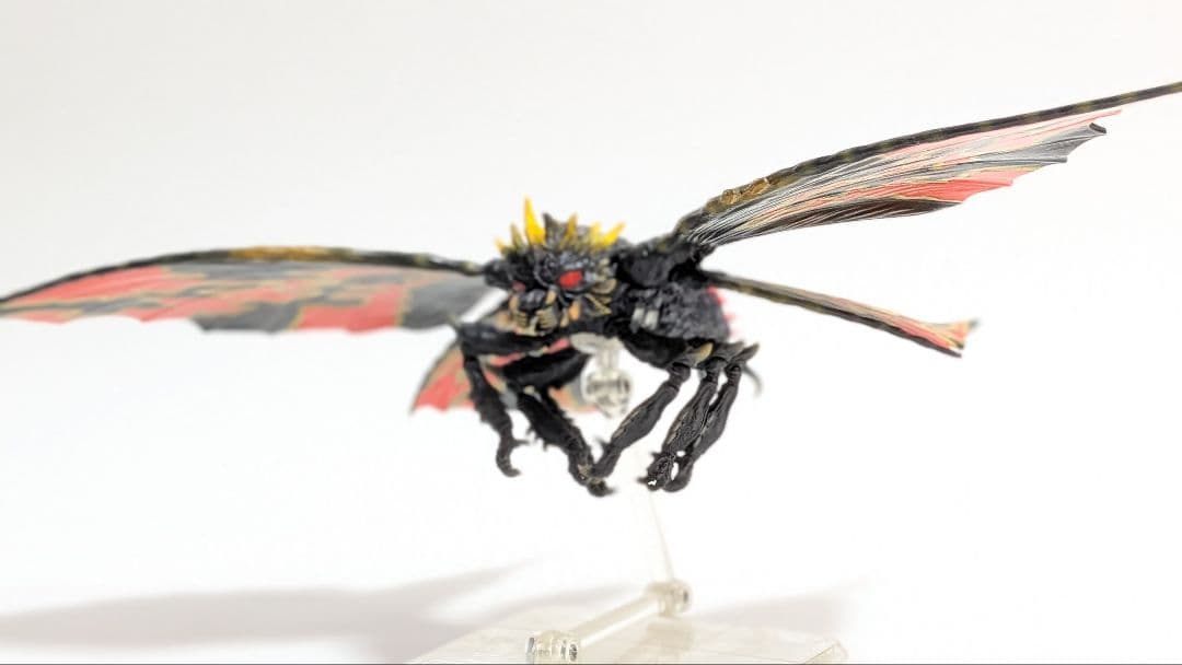 バトラ (成虫) & バトラ (幼虫)モンアツ Special Color