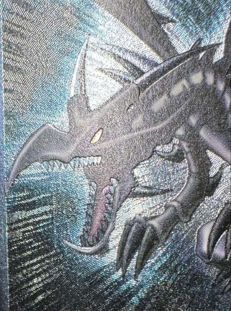 【親知らず】 レッドアイズブラックドラゴン/真紅眼の黒竜/ 遊戯王/レリーフ