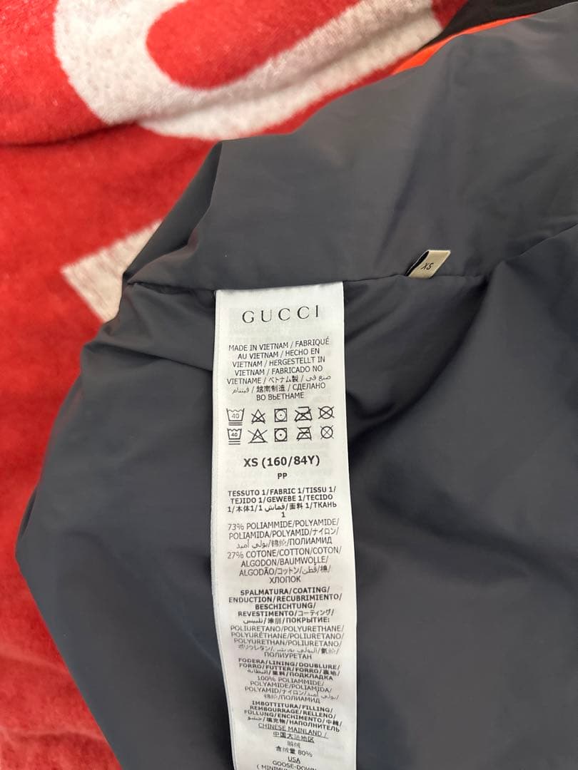 THE NORTH FACE x GUCCI ウィンドブレーカー