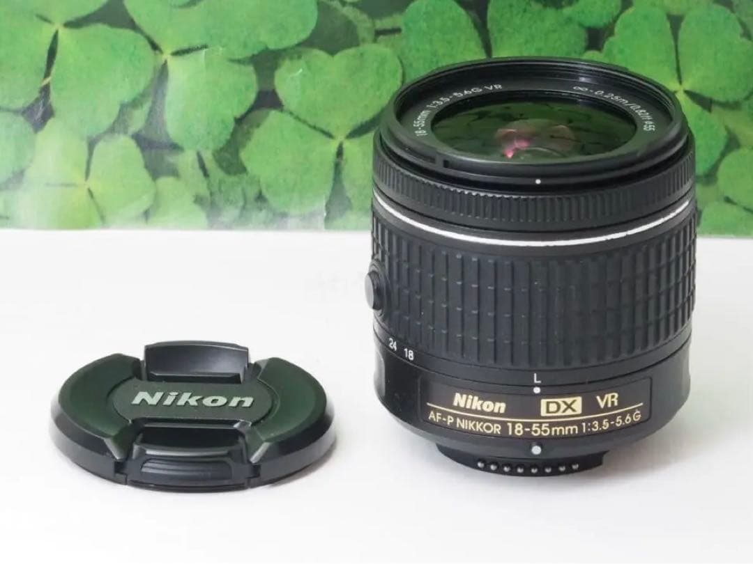 【美品】Wifi搭載⭐️自撮りOK ニコンD5300 2416万画素　標準レンズ