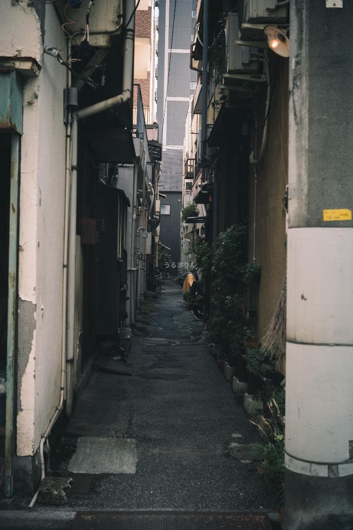 虹色シャワー！東京光学 Topcor 50mm F3.5 オールドレンズ