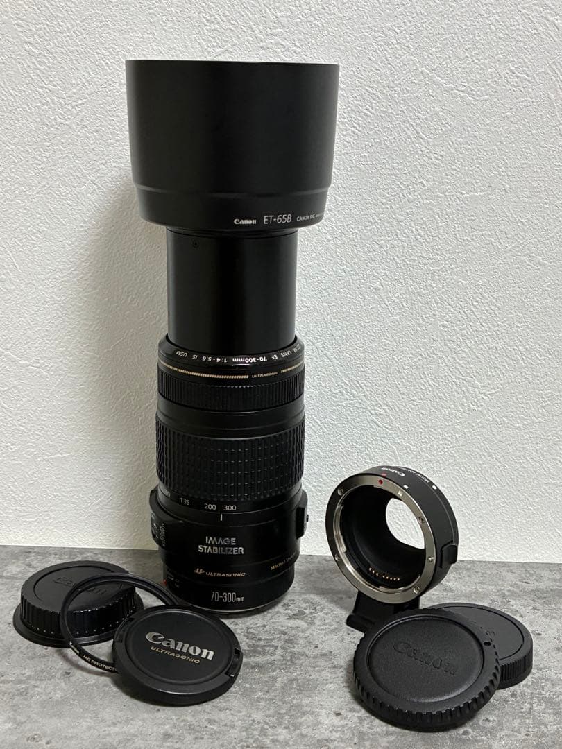 ⭐️美品⭐️Canon EF70-300mm & EF EOS M アダプター