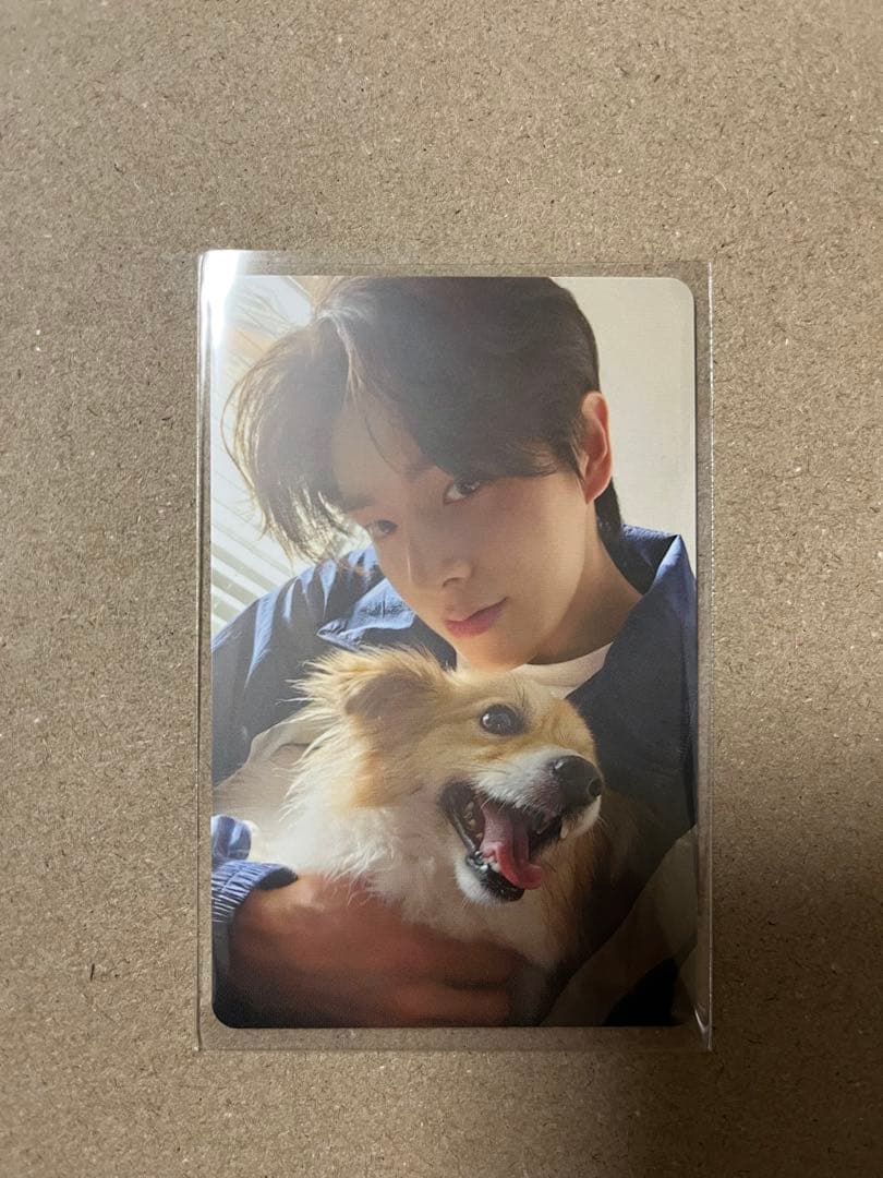 ENHYPEN アンケートトレカ 特典カード ジェイク