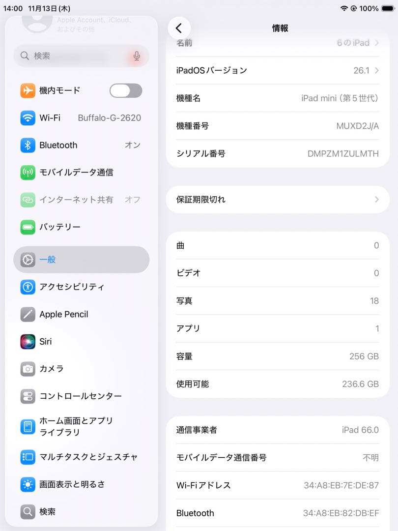 iPad mini 5 256GB Wi-Fi + cellular シルバー