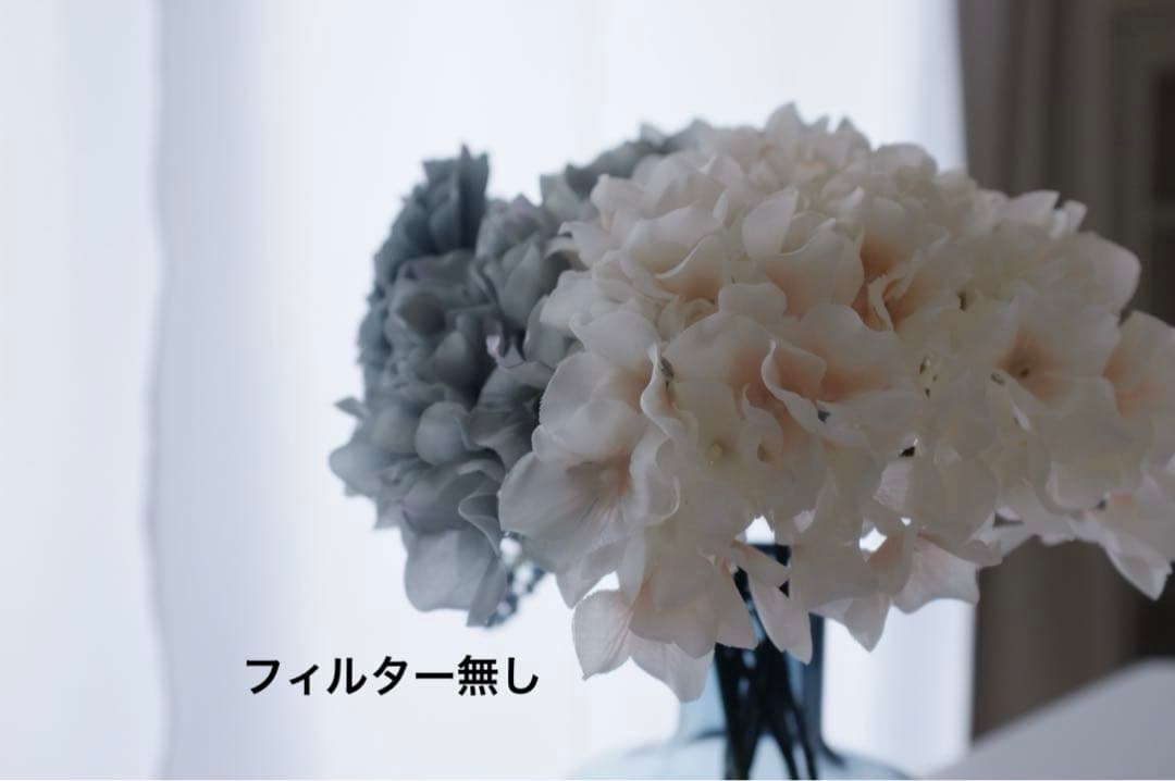 美品 fujifilm X100 オールドコンデジ　SDカード付　アクセサリ付