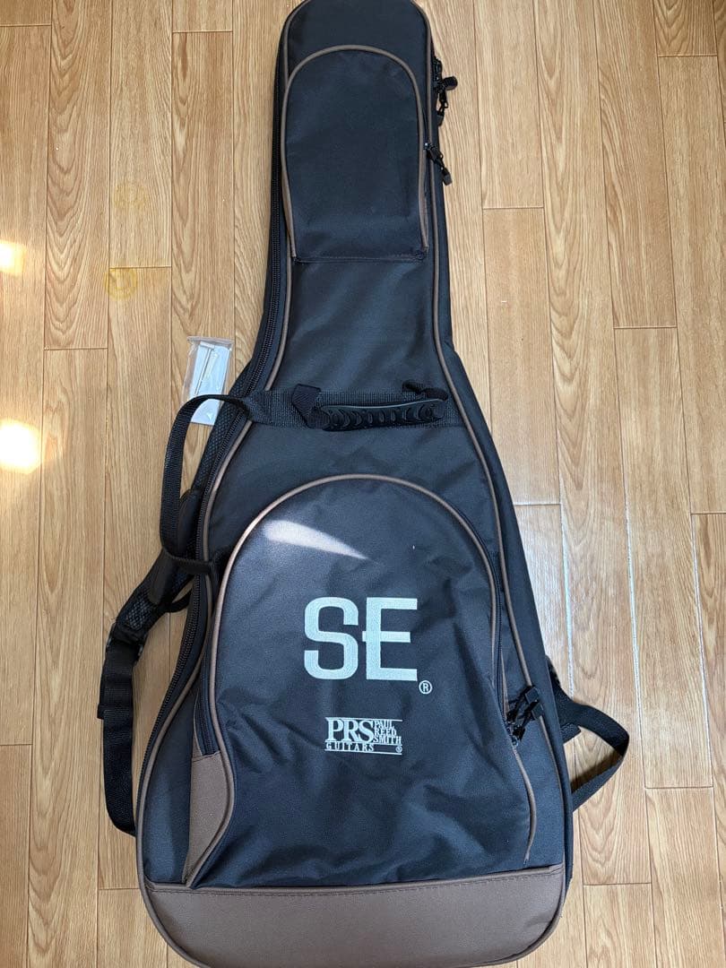 ギター Paul Reed Smith PRS SE Parlor VM P20