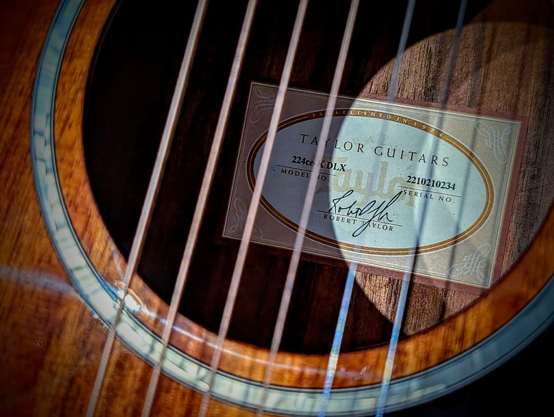 【最終価格】Taylor/224ce-K DLX エレアコ