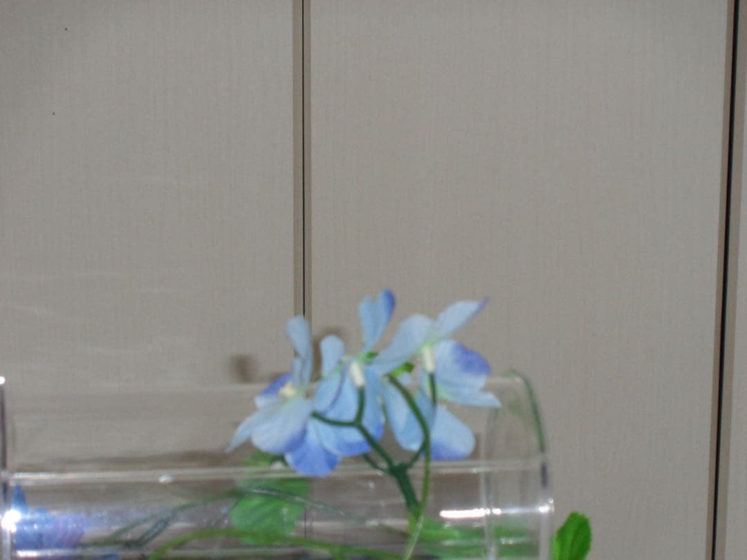 美品　SONY カメラ　DSC-W830 SDカード　シルバー　コンデジ　動作品