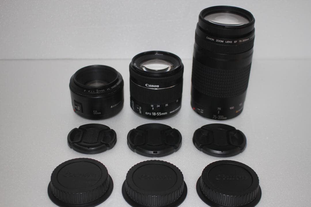 キャノン canon kiss x8i 標準&望遠&単焦点トリプルレンズセット