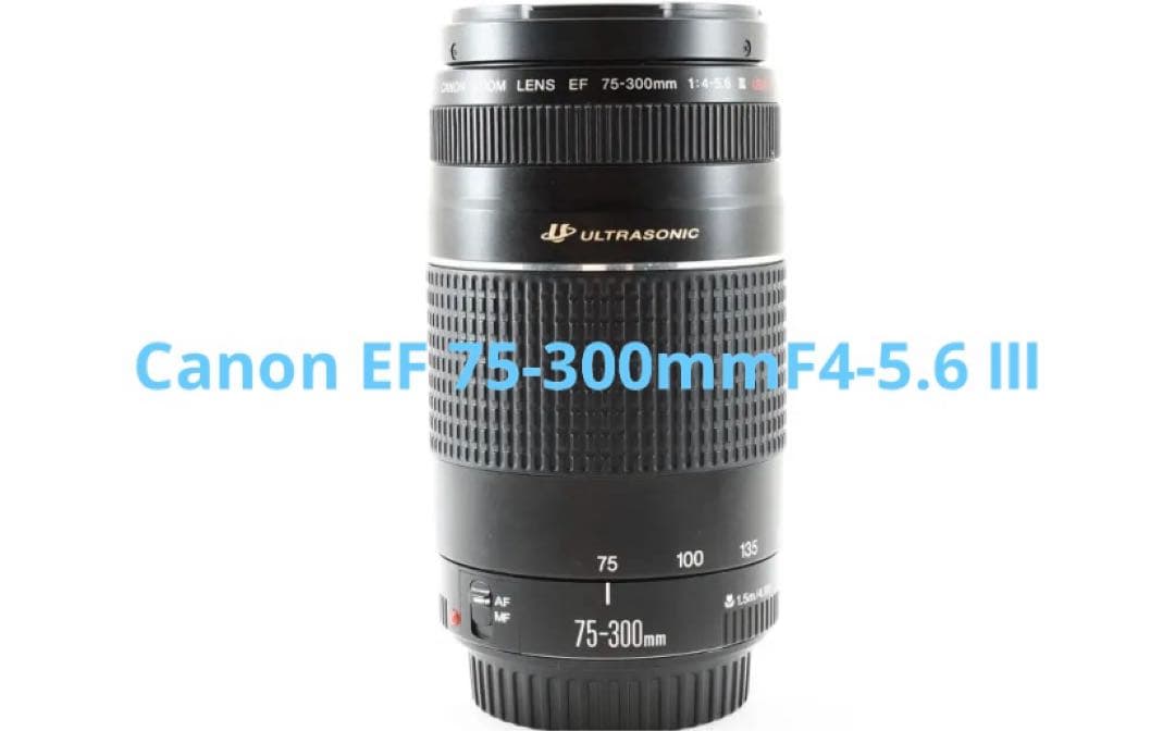 Canon EF 75-300mm F4-5.6 Ⅲ USM