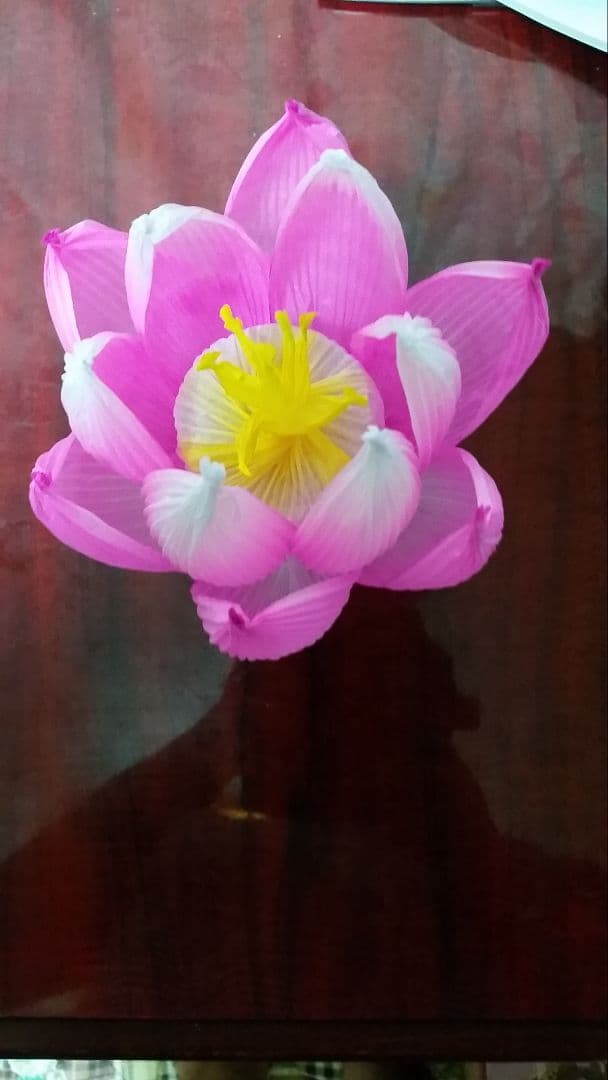 アインさま専用