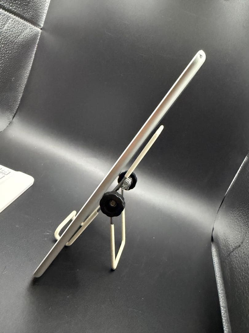 Miuさん専用98%256GBSIMフリーiPadmini5画面きれいペンシル