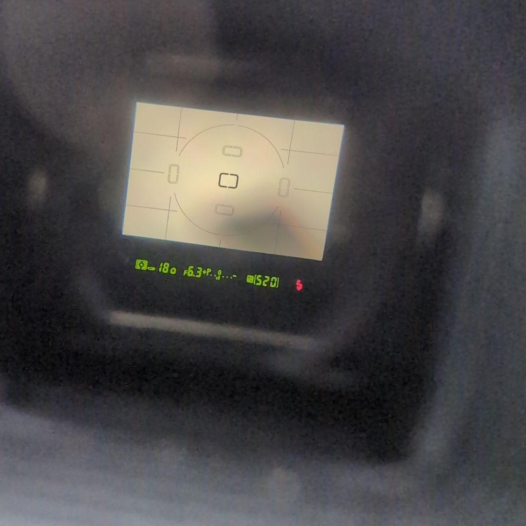 Nikon D100 一眼レフ デジタルカメラ Fマウント ニコン 動作確認済