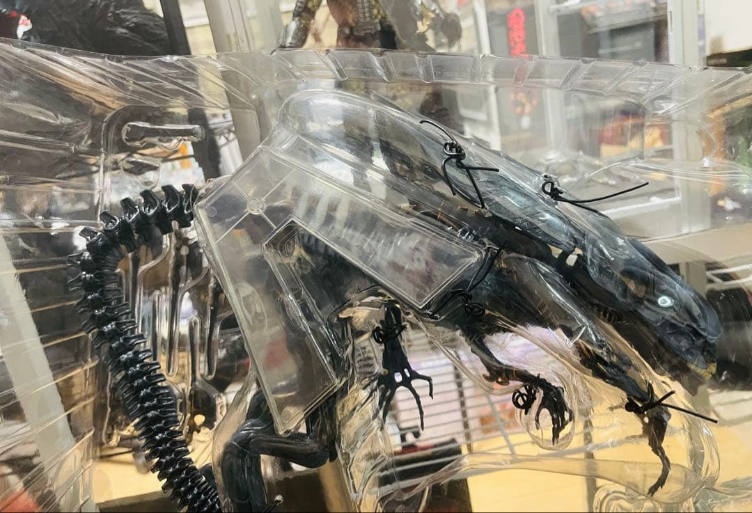 neca エイリアン　クイーン　プレデター